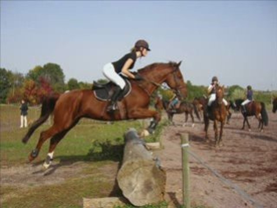 Challenge 12.10.08