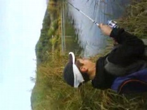 truite arc en ciel 1