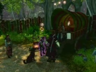 Fable 2 Express Youself