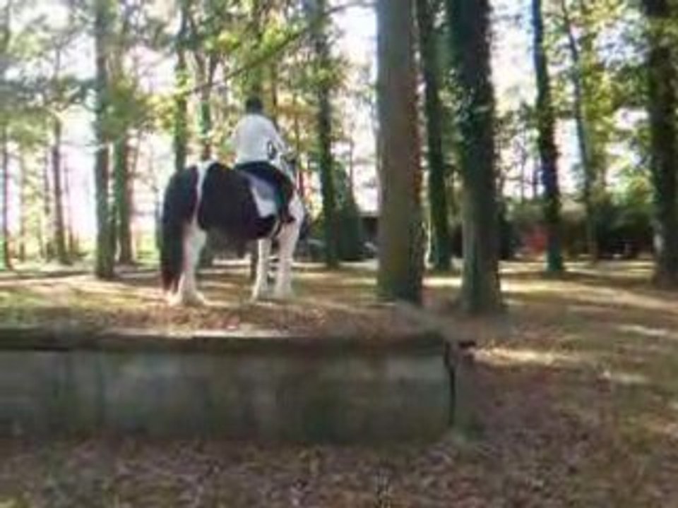 DSCF3454
