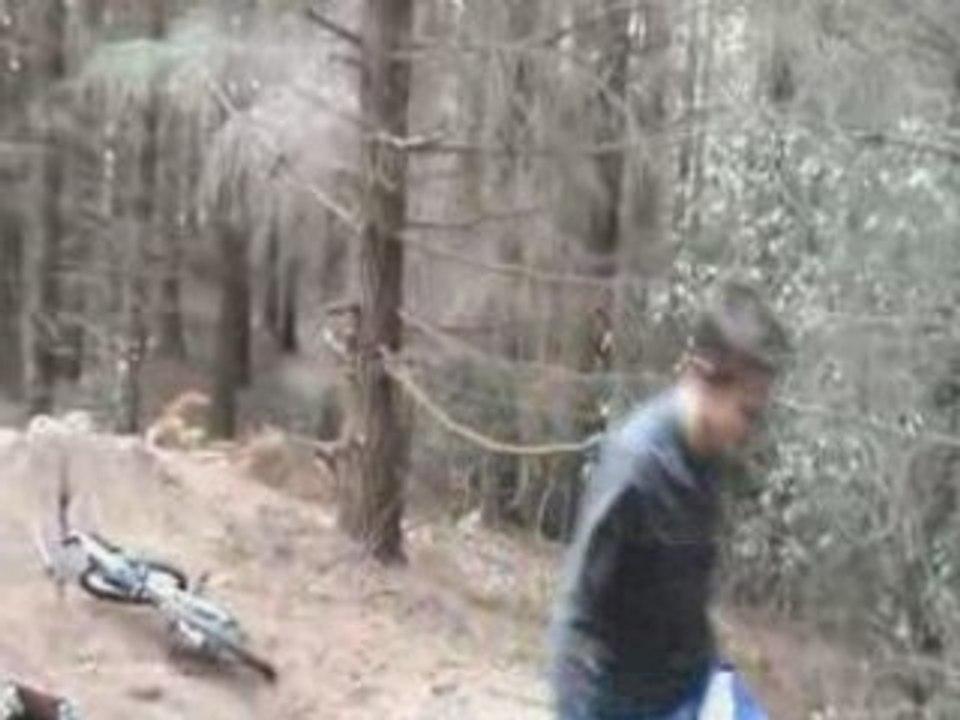 Le freerider