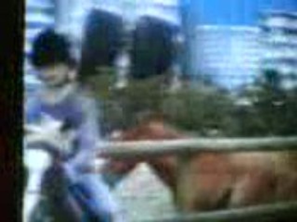 Souvenirs Enfance =F Mélanie Equitation Galop Inina