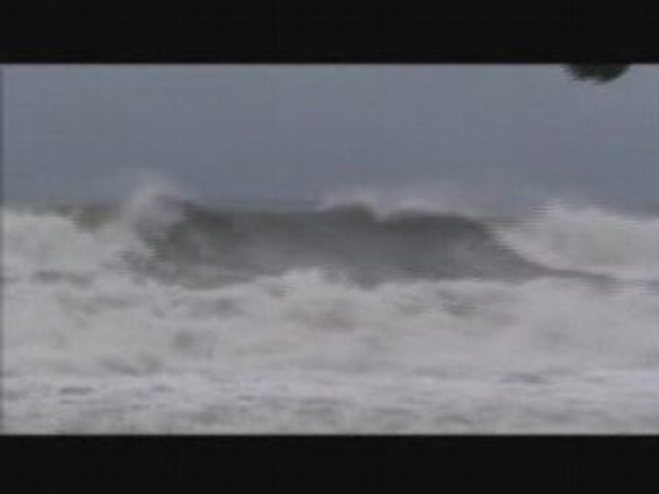 LA HOULE D'OMAR (Nature Vivante)