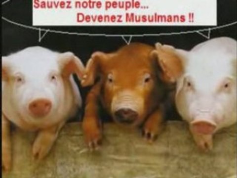 Animaux croyants racistes religieux extremistes