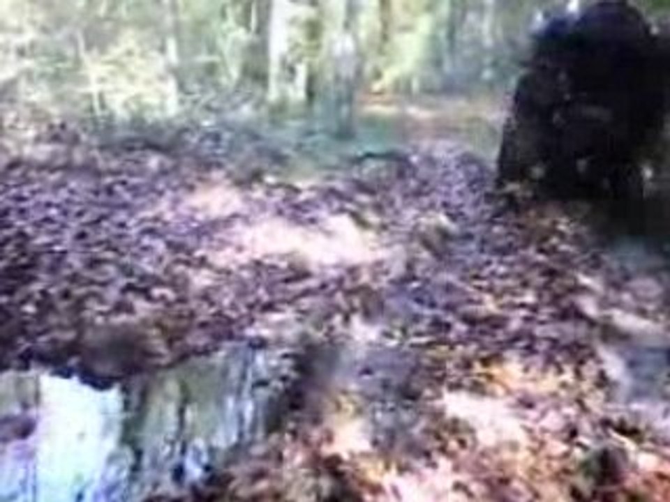 sortie du 18/10/2008