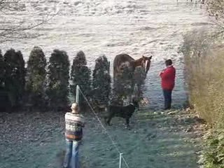 Noel 2007 en Lorraine