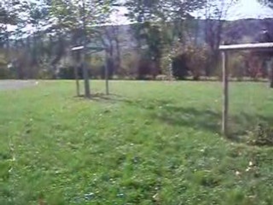 P1011368