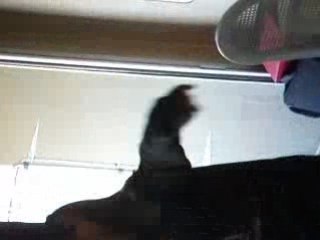 Amelle et Cassandra qui danse