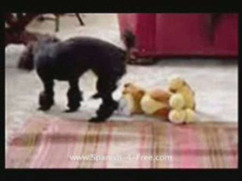 Learn Spanish For Free 3.0 : Basic Spanish Phrases: Lesson