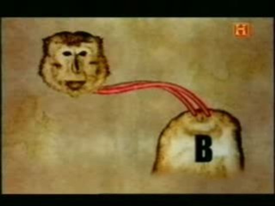 Trasplante de cabezas (1)