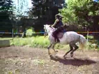 Debut du stage G4 et G6 051