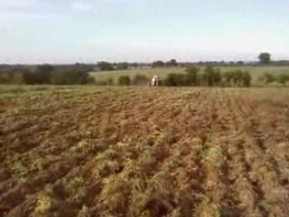 préparation des terres