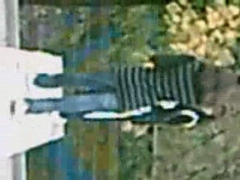 Mes amis , ma vie , je vous aimes grv .