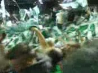 L'etendar vert et blanc