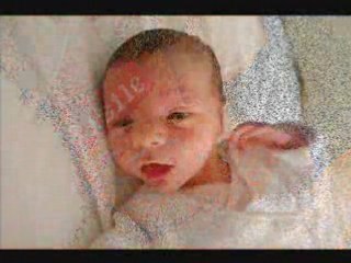 Les 1ers jours de Basile...