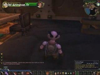 WoW : Classe Voleur de World of Warcraft