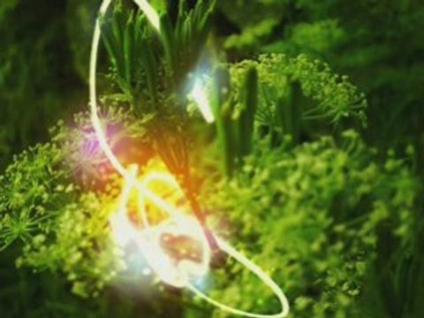 Duderstadt & Kirsty Hawkshaw - Beatitude