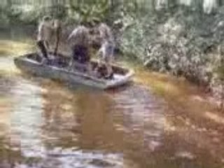 Les trois marin experimenté part2