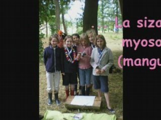 Camp jeannettes Juillet 2008 02