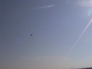 קציעות 2008  צילום קרקע