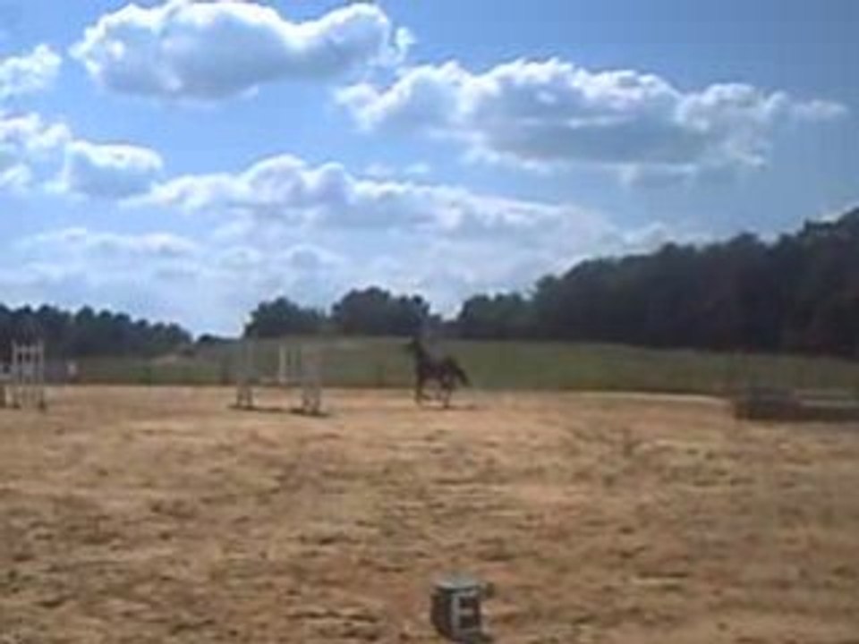 CLIP0010