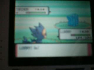 Rencontre avec Tarinor Shiney