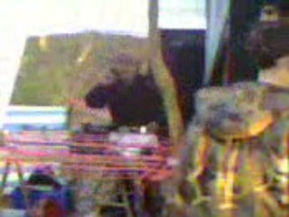 teuf normande perdue ds les bois