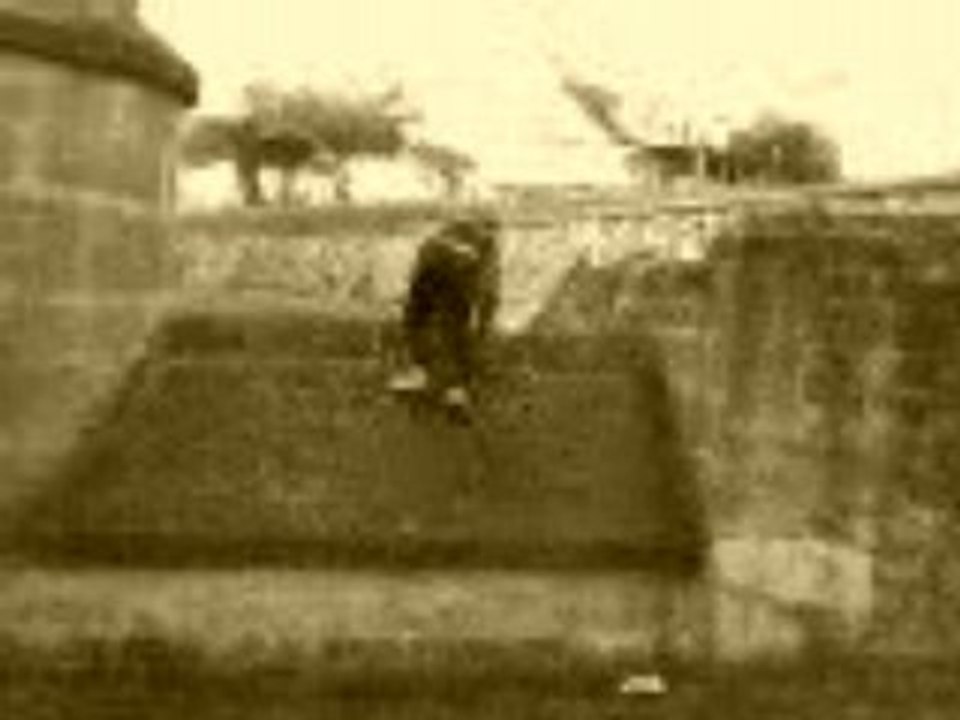 parkourdu67