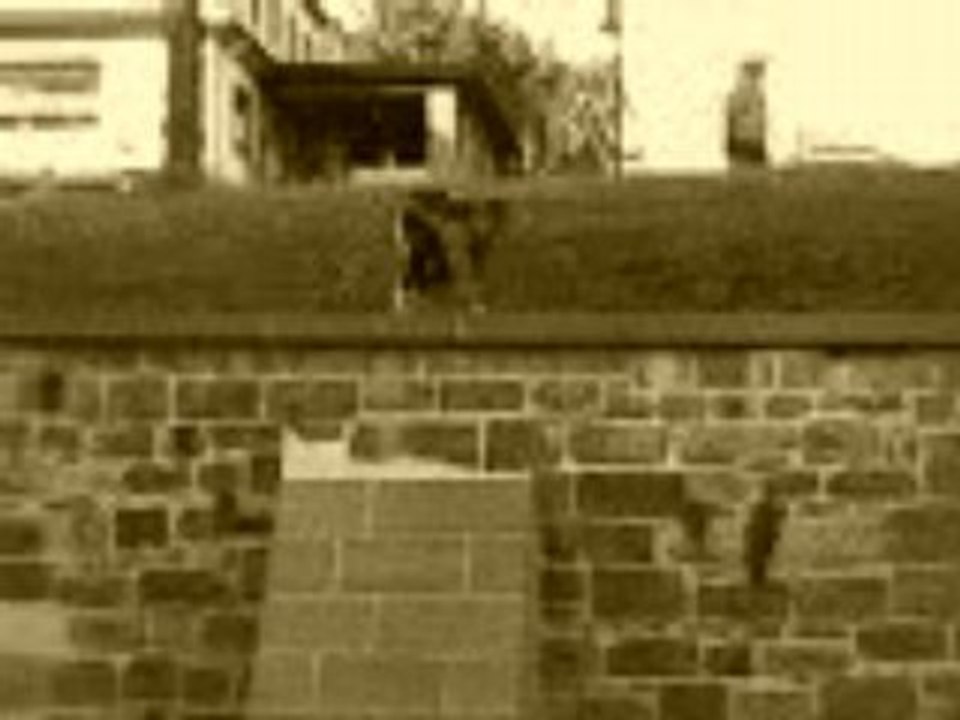 parkourdu67