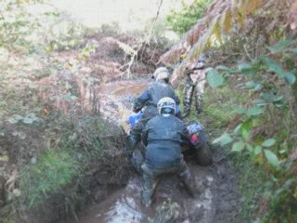 Video quad