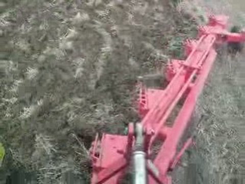 CLAAS ARES 567 ATX 6'lı 16 NUMARA PULLUKLA TARLA SÜRÜYOR...