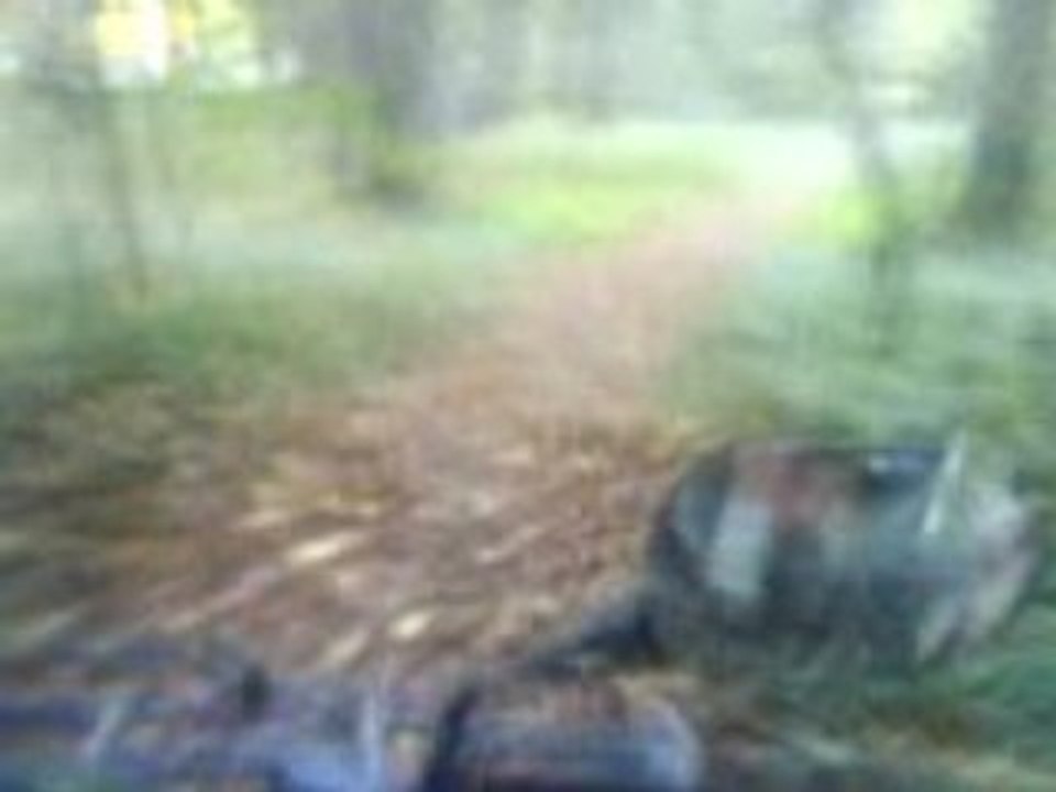 MOV00044