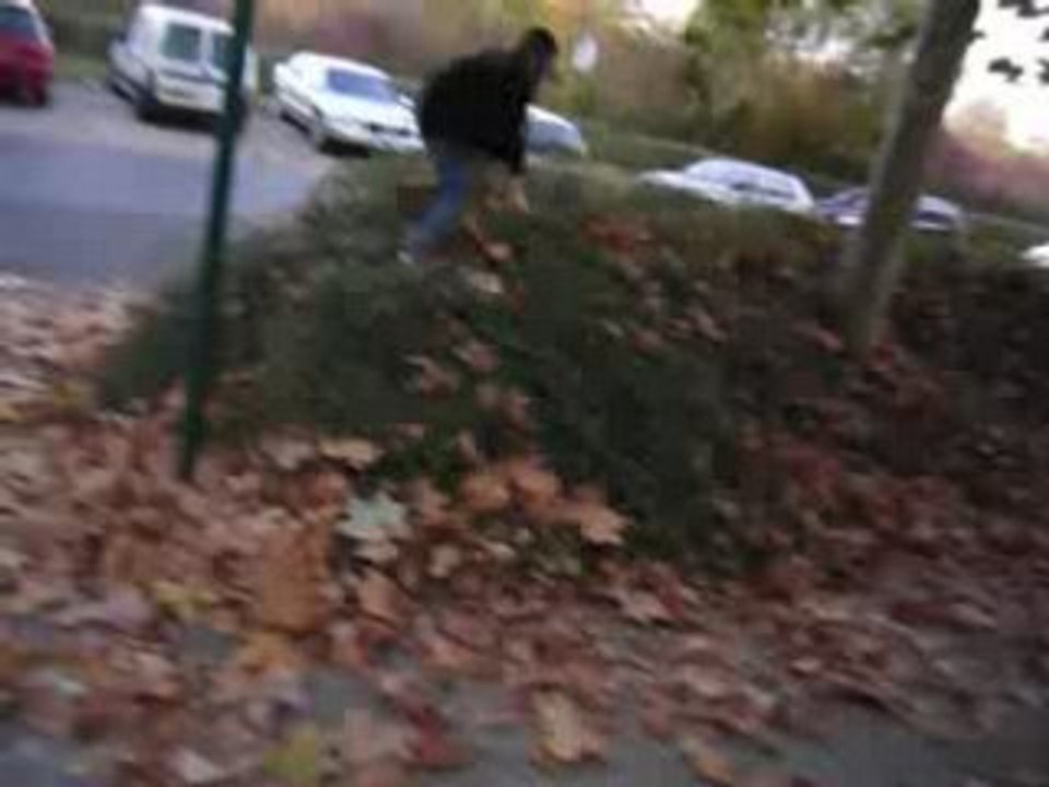 juste pour un chien
