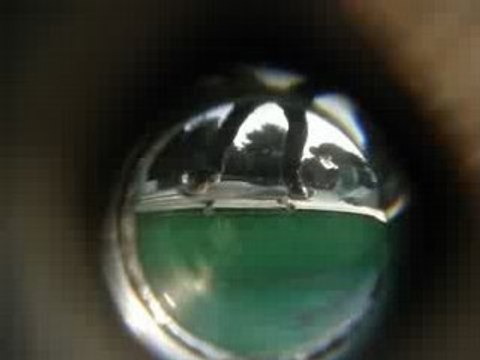 Steevo flip grind back