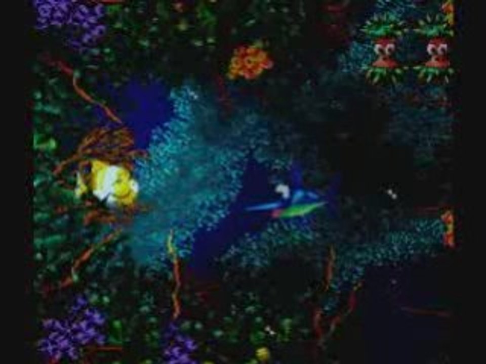 Donkey Kong Country 3 Walkthrough 12