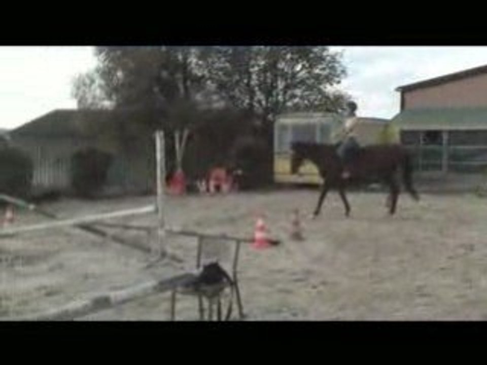 Féli obstacle 18/10/08