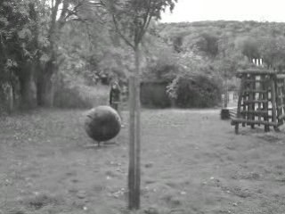 POmmes aux etangs