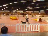 demo agility expo canine perpignan 2008