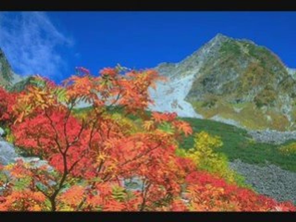 Nerdesin -Fethullah GÜlen Hocaefendi-