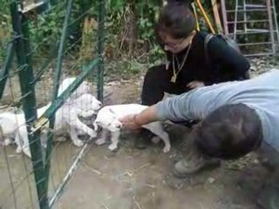 19 octobre 2008 (6 semaines) 021