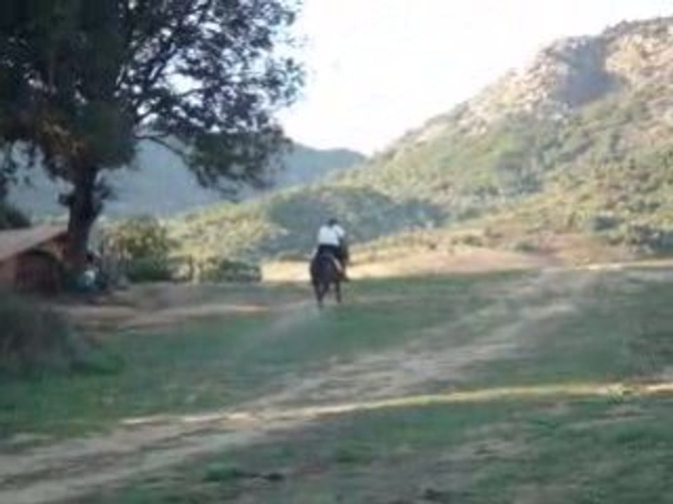 Manzzana au galop