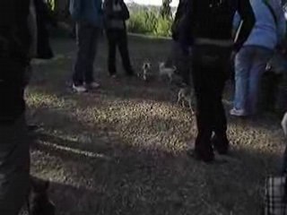 Rencontres chis 19.10.08