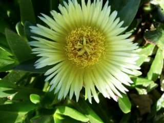 Guided Meditation Secret Techniques