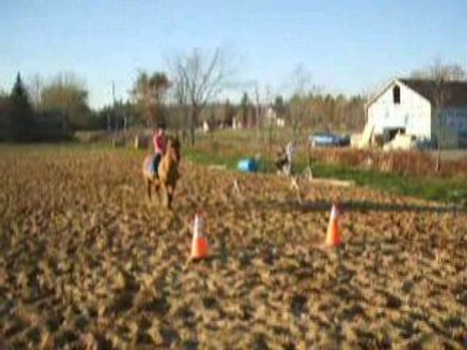 Molly et moi SAUT