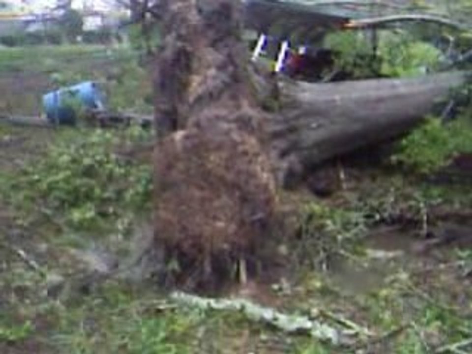 MS hurricane 1