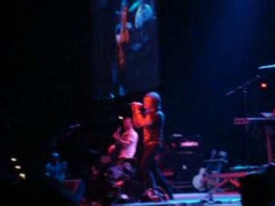 Godojs in Essen am 18.10.2008 (7)