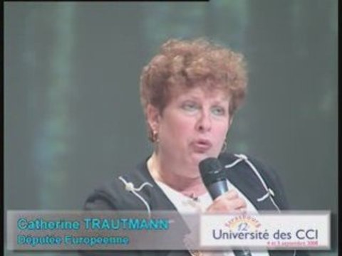 Université des CCI 2008 Strasbourg C. TRAUTMANN Europe, le partage des valeurs