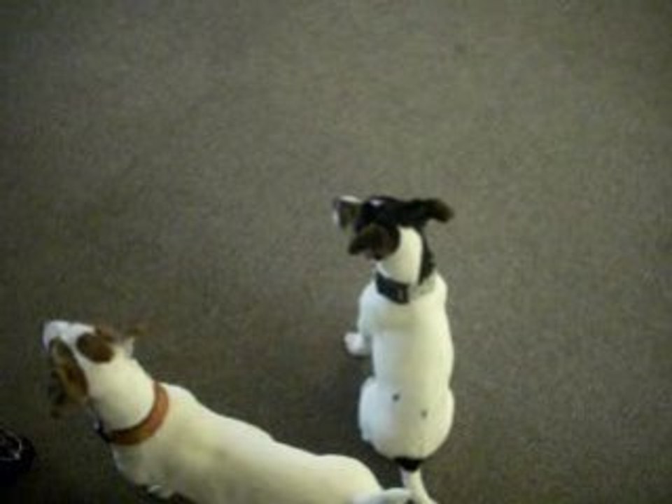 Chufi et Danaé en mode film d'horreur