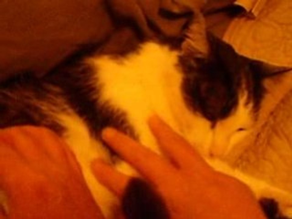 Calin oct 08