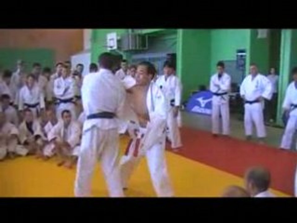 Shin gi tai  kashiwasaki